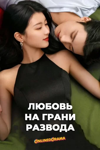 Любовь на грани развода